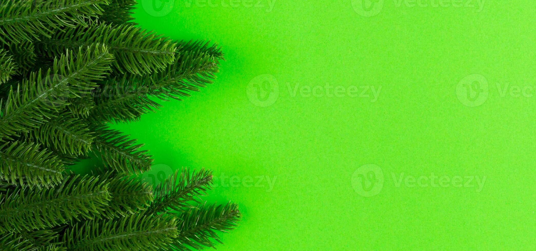 Top view Banner of frame made of fir tree on colorful background with copy space. Merry Christmas concept photo