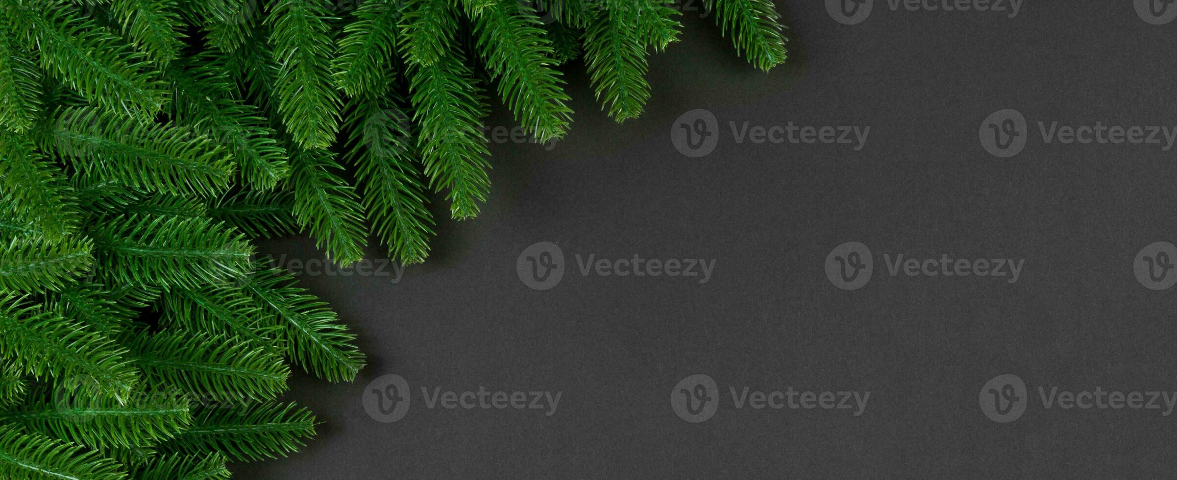 Top view Banner of frame made of fir tree on colorful background with copy space. Merry Christmas concept photo