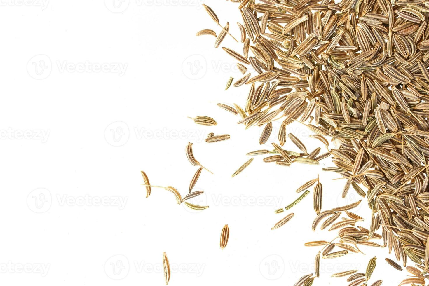 Cumin seeds isolated on white background photo