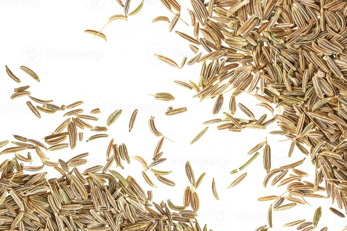Cumin seeds isolated on white background photo