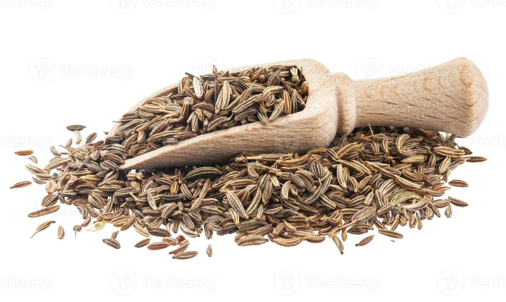 Cumin or caraway seeds in scoop isolated on white background photo