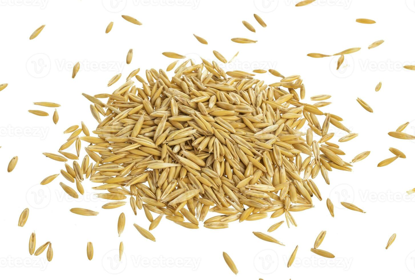 Pile of oat seeds isolated on white background, top view photo