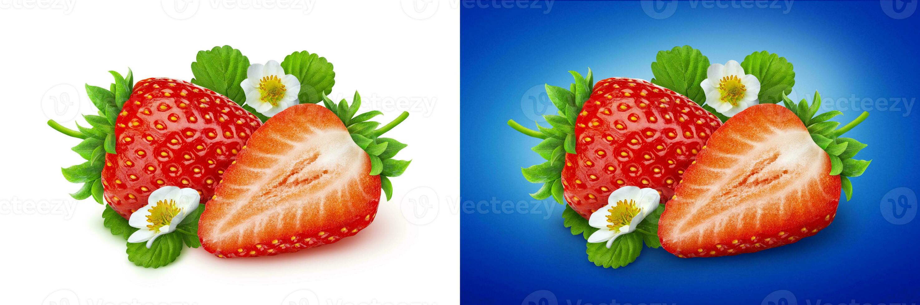 Strawberry isolated. Two strawberries with flowers and leaves isolated on white background photo
