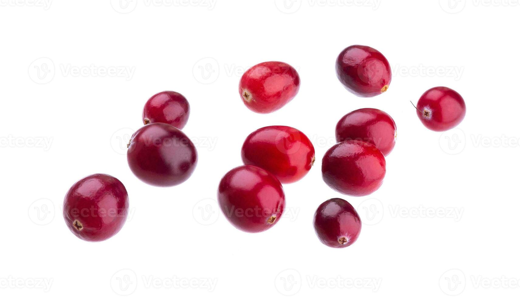 Fresh cranberries isolated on white background photo