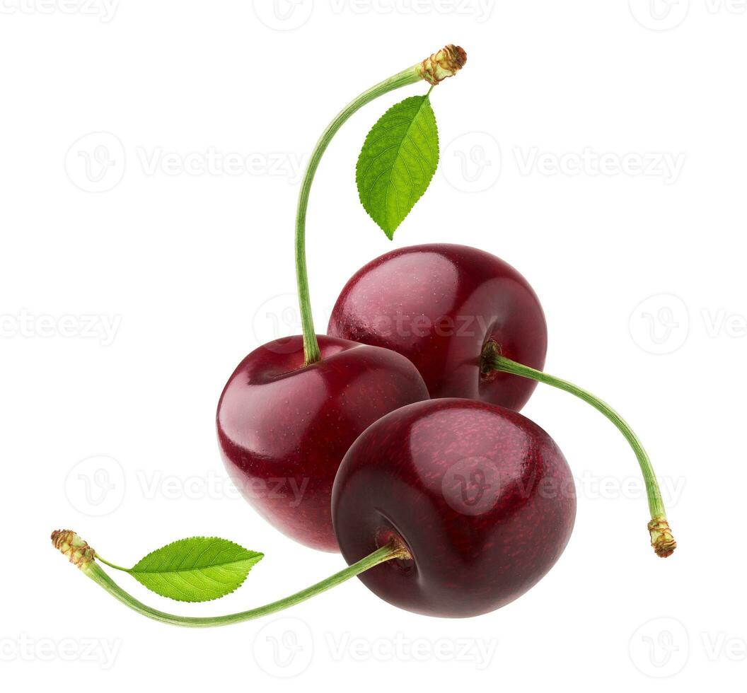 Cherry isolated on white background with clipping path photo