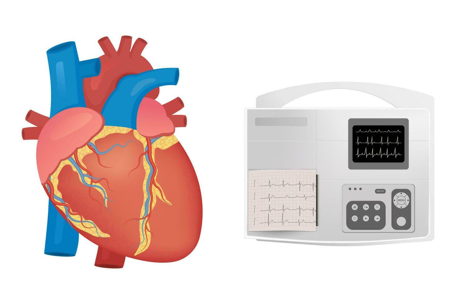 Anatomy of the human heart. Electrocardiographic patient monitoring - medical device, for poster vector