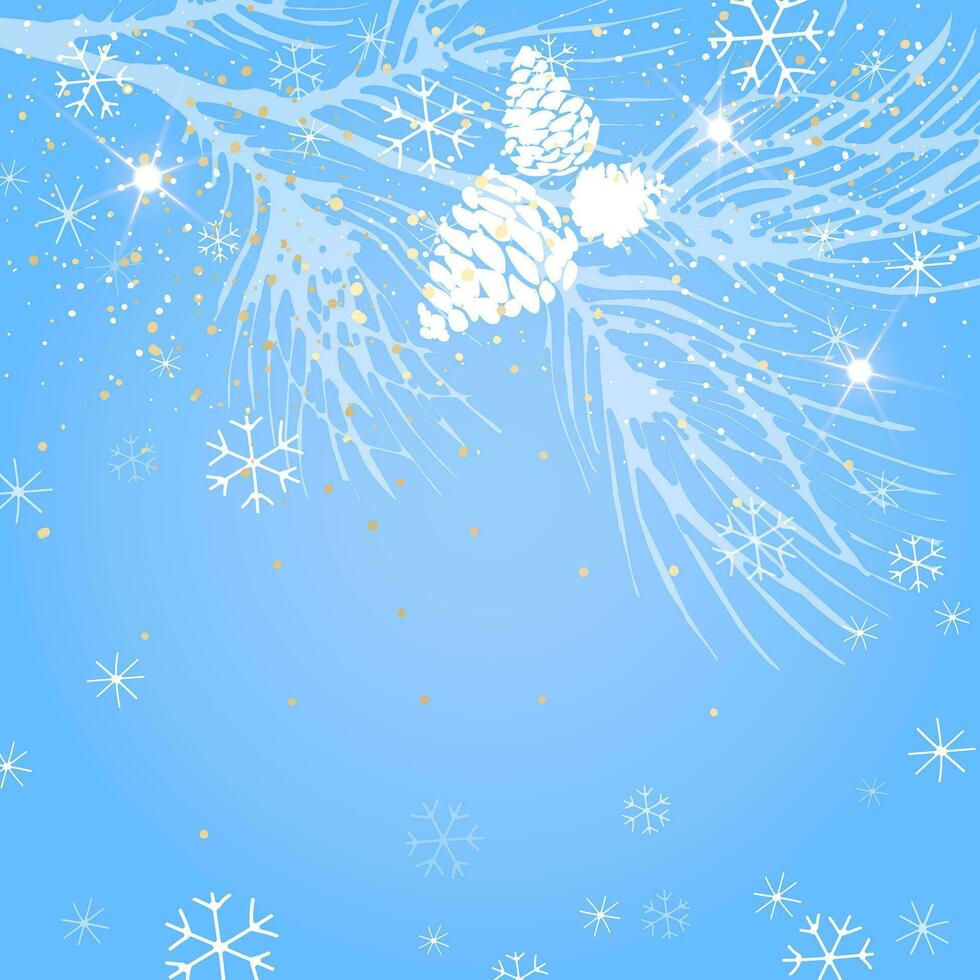 Winter Christmas background with pine branch and cones, on a blue background. A layout for the design of Christmas and New Year's greeting, a festive cover. vector