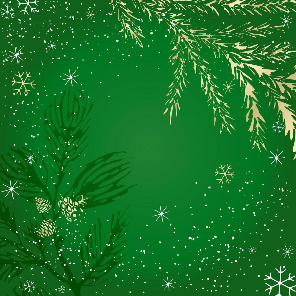 A winter background with branches of spruce and pine trees, cones and snowflakes. Template for the design of Christmas and New Year's congratulations, a festive cover, cards, poster. vector