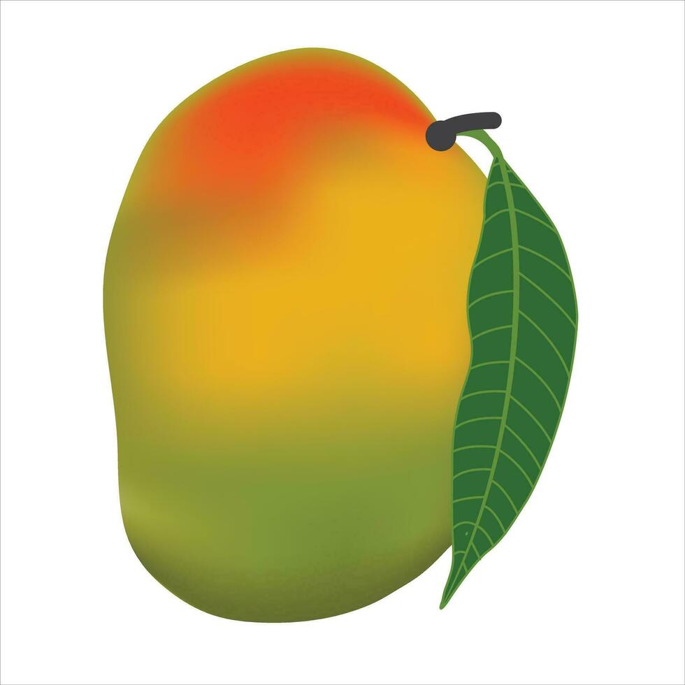 Vector delicious mango ripe yellow, orange  with leaf isolated on white background