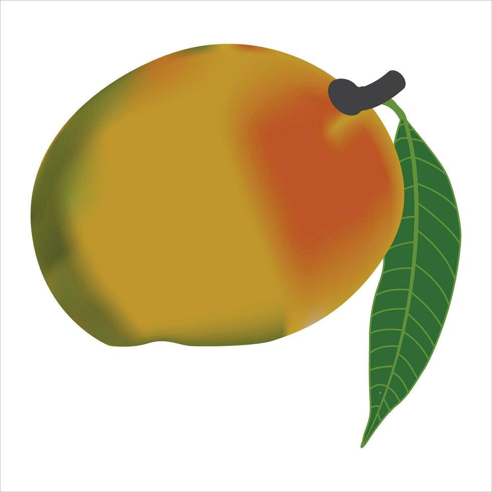 Vector delicious mango ripe yellow, orange  with leaf isolated on white background