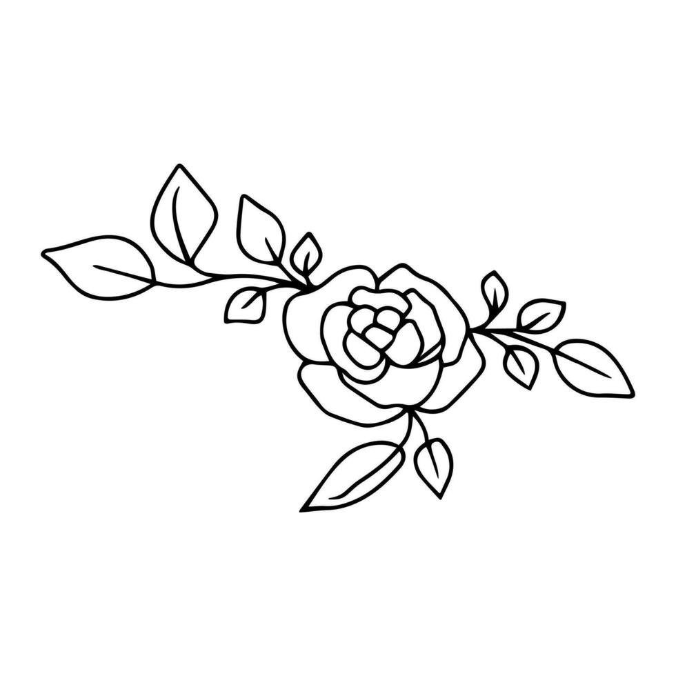 mano dibujado Rosa flor con hojas en tallos. garabatear amor símbolos fiesta clipart para tarjeta, logo, diseño. San Valentín día concepto. aislado en blanco antecedentes vector
