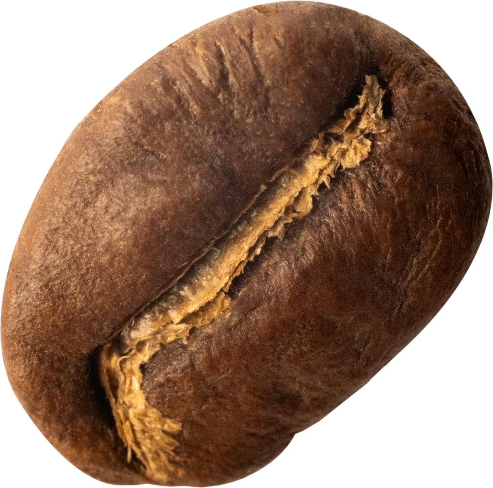 isolated coffee beans cut out on transparent background. png