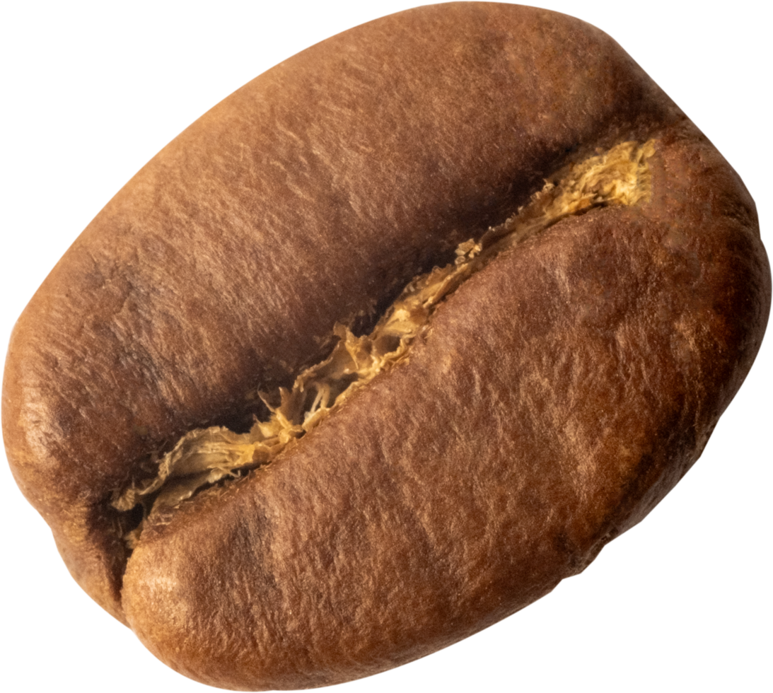 isolated coffee beans cut out on transparent background. png
