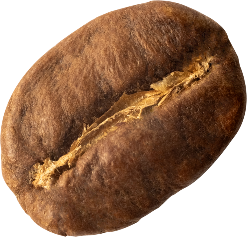 isolated coffee beans cut out on transparent background. png