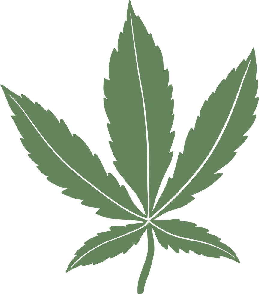 Simplicity cannabis leaf freehand drawing. png