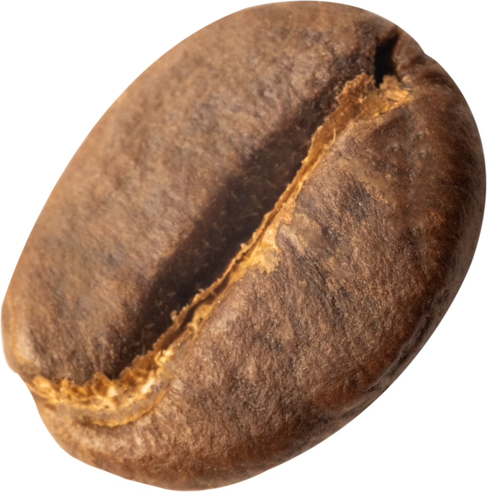 isolated coffee beans cut out on transparent background. png