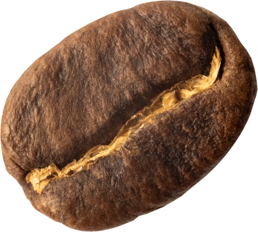 isolated coffee beans cut out on transparent background. png