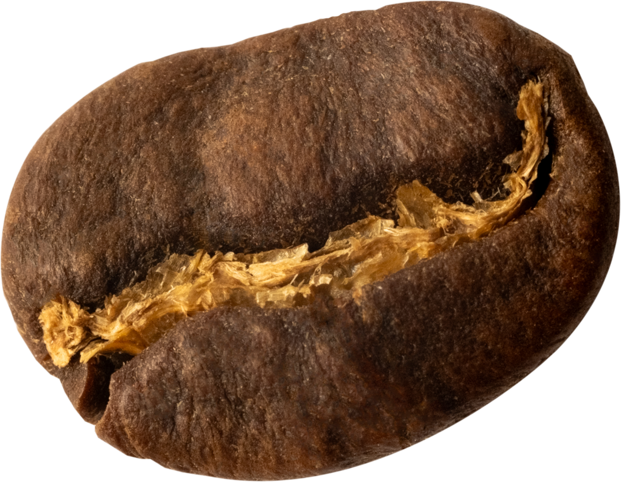 isolated coffee beans cut out on transparent background. png