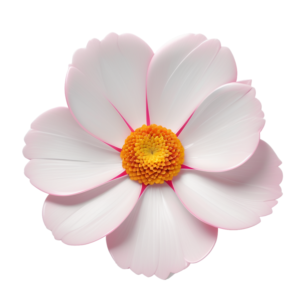 AI Generative white and pink cosmos flower on transparent background PNG image