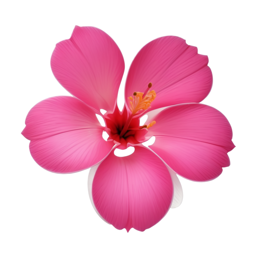 AI Generative pink dahlia flower isolated on transparent background PNG image