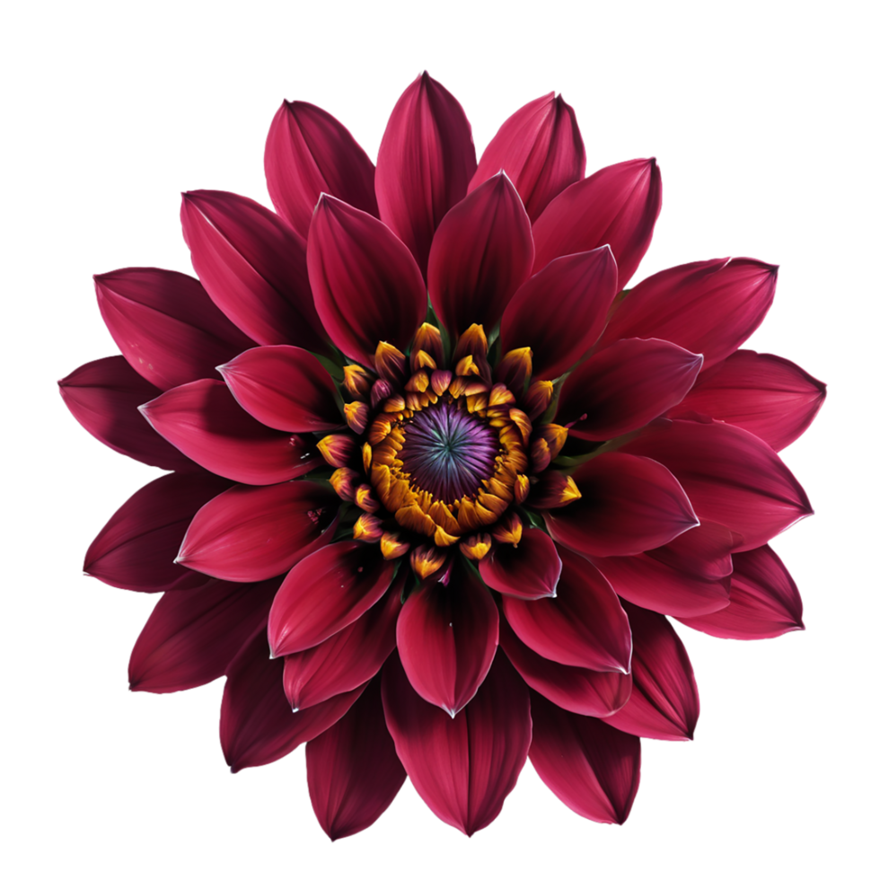 AI Generative pink dahlia flower isolated on transparent background PNG image