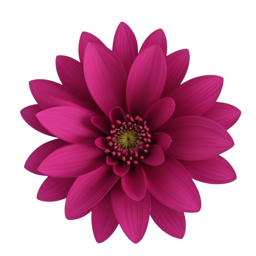 AI Generative pink dahlia flower isolated on transparent background PNG image