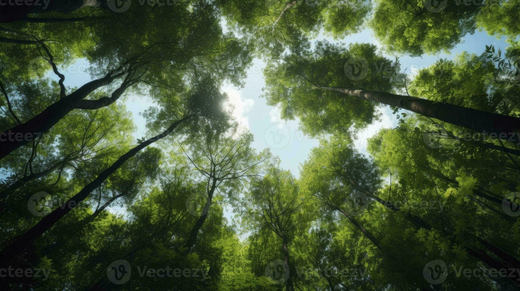 Looking up at the green tops of trees, Generative AI photo