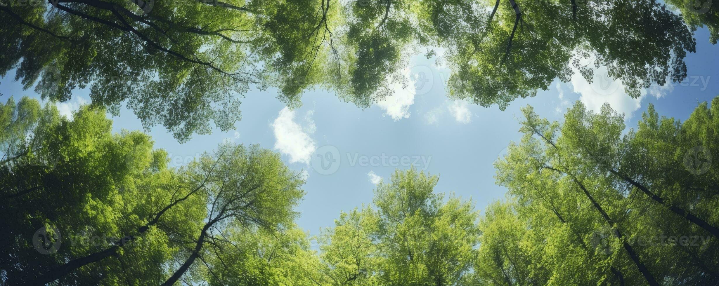 Looking up at the green tops of trees, Generative AI photo