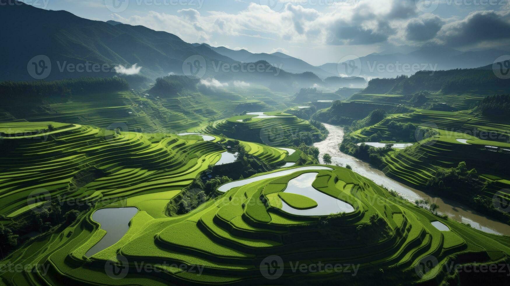 An aerial view of a vast and lush rice field, Generative AI photo