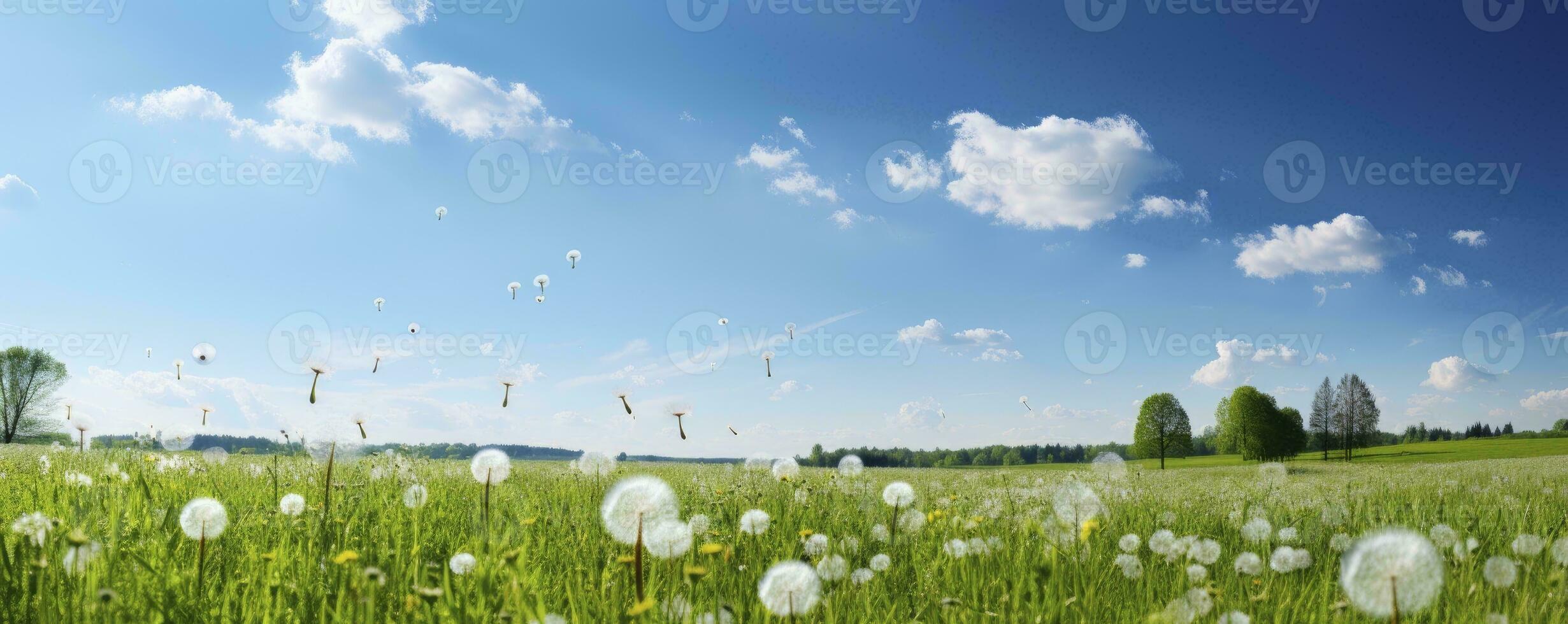 Field with dandelions and blue sky, Generative AI photo