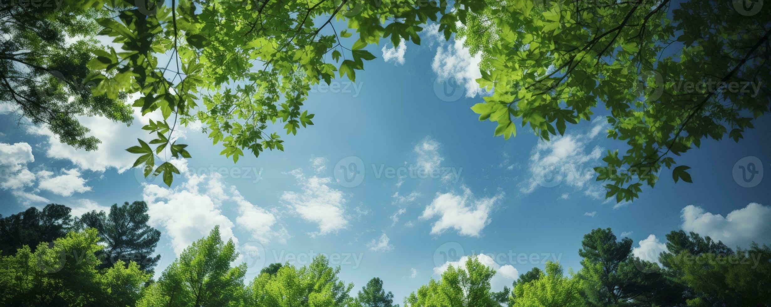 Looking up at the green tops of trees, Generative AI photo