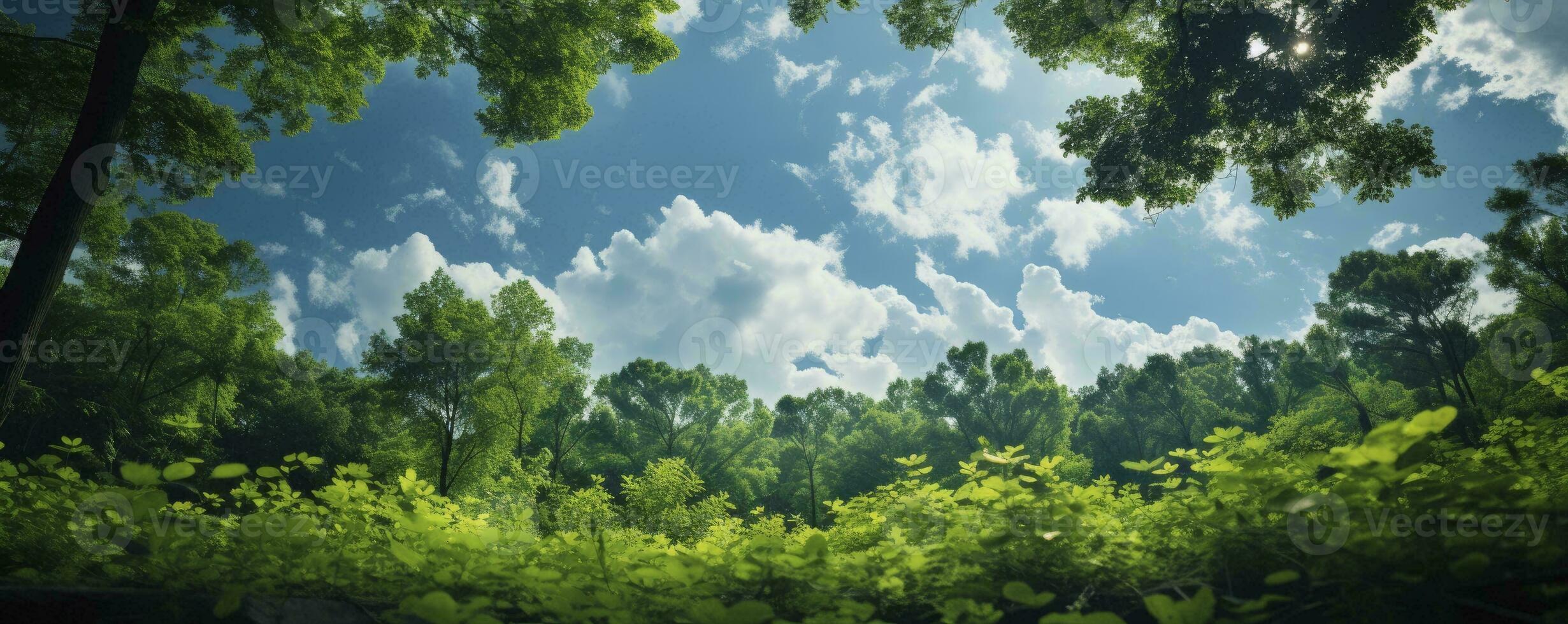 Looking up at the green tops of trees, Generative AI photo
