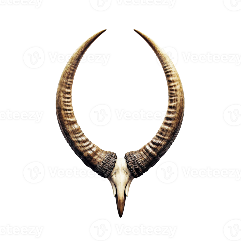Animal horns isolated on transparent background, created with generative AI png