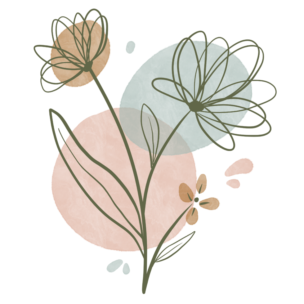 Abstract Watercolor Botanical Illustrations png