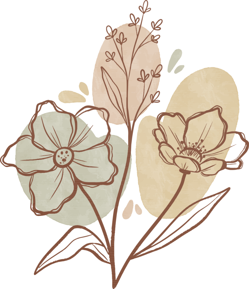 Botanical Line Drawings in Watercolor png