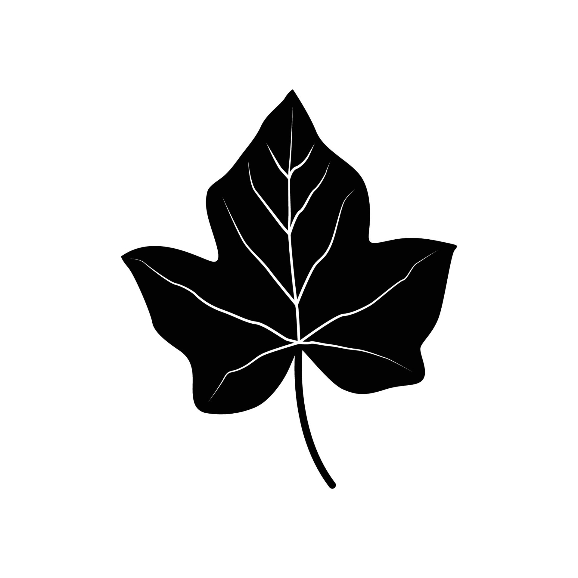 maple-leaf-logo-template-maple-leaf-logo-elements-maple-leaf-vector