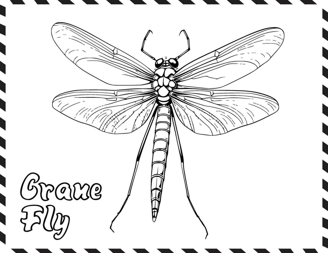 Crane Fly Coloring Page for Kids vector