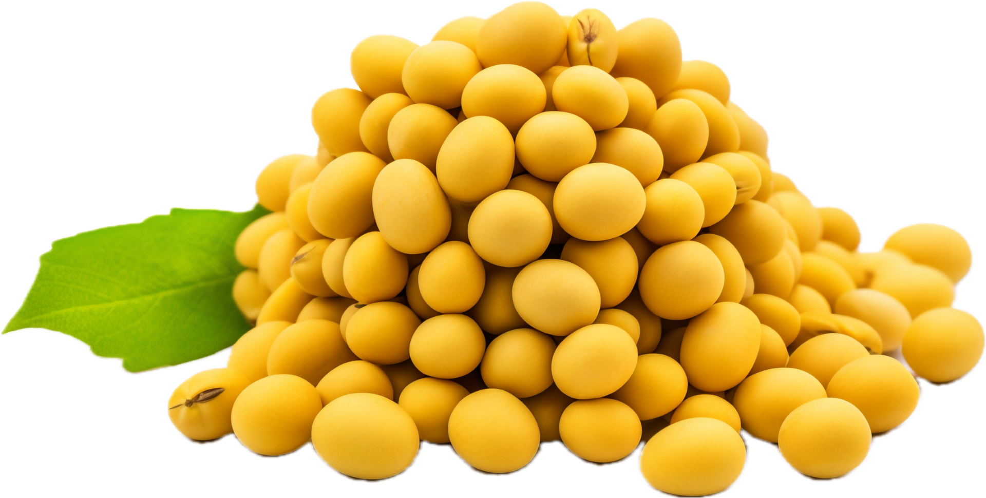 Soybeans png with AI generated. 34617541 PNG