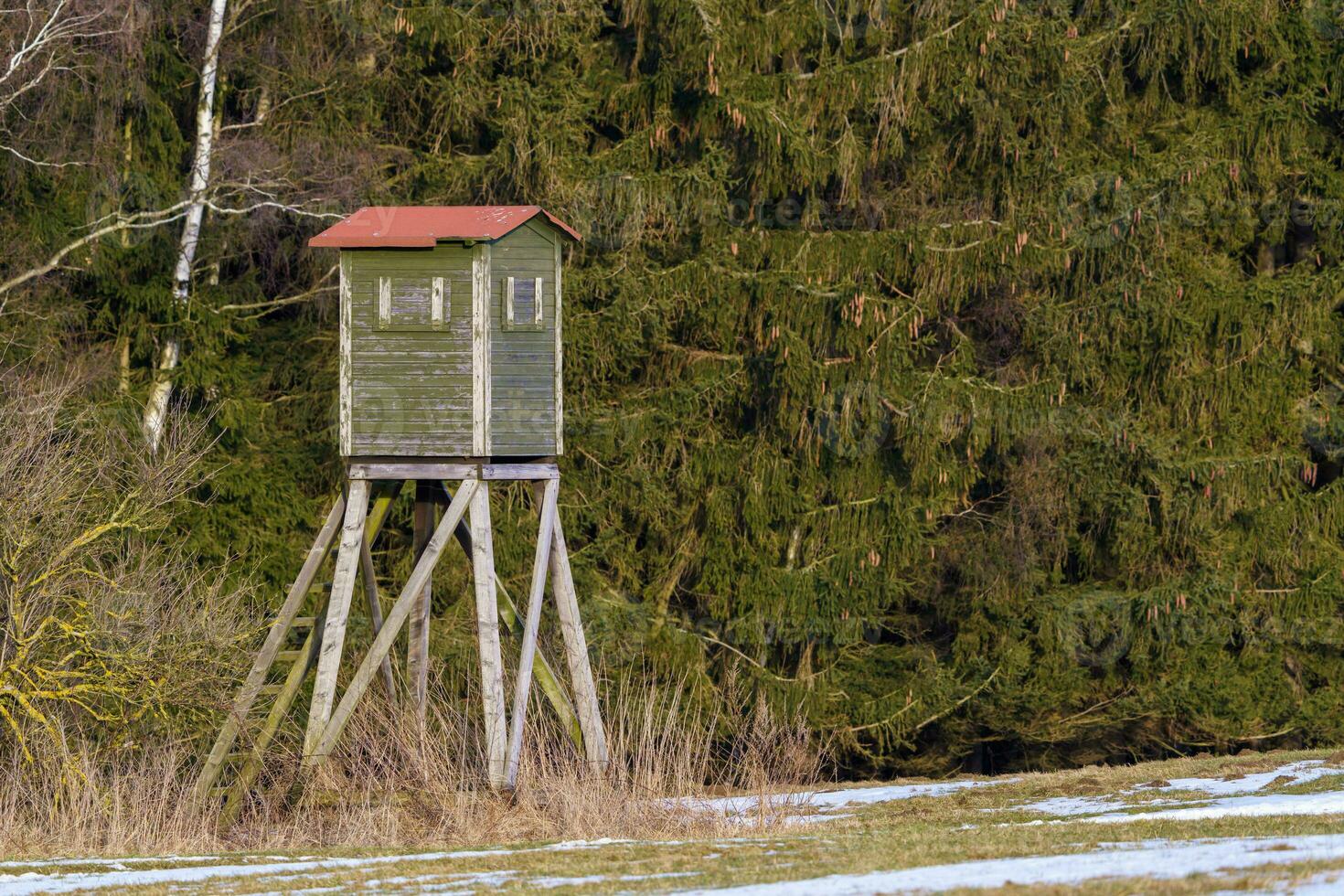 Wooden lookout tower for hunting in the woods and on meadow photo