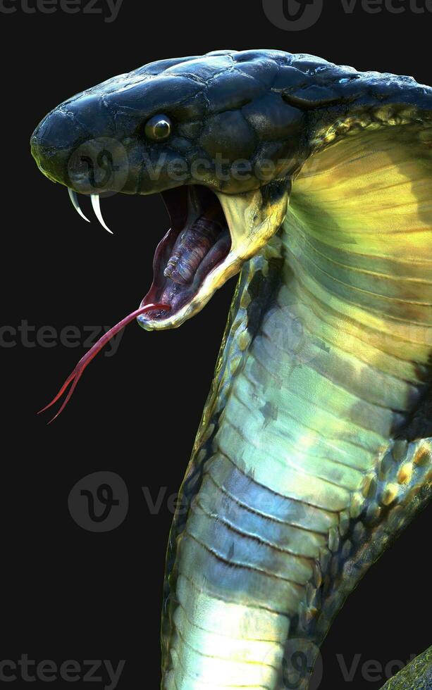 3d ilustración de cerca de Rey cobra serpiente ataque aislado en oscuro antecedentes con recorte camino. foto