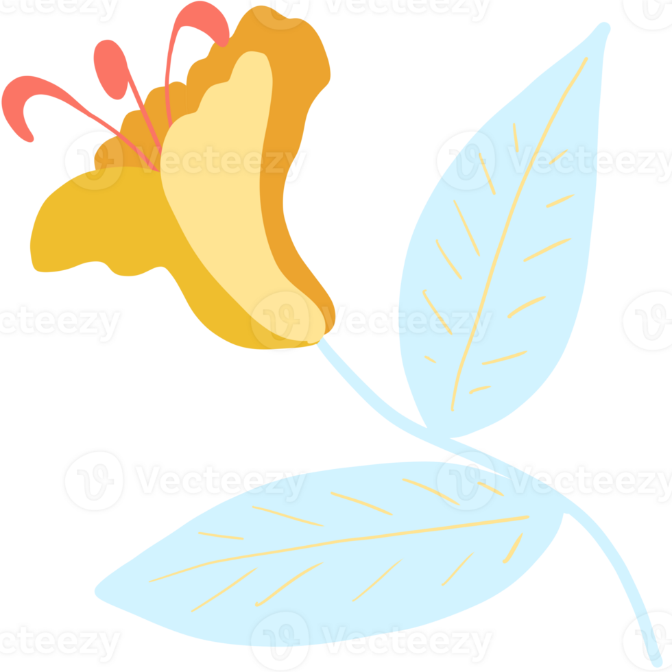 A tropical flower png
