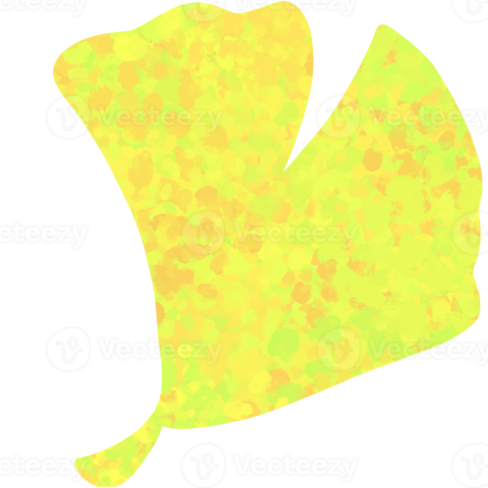 Leaf in Autumn png