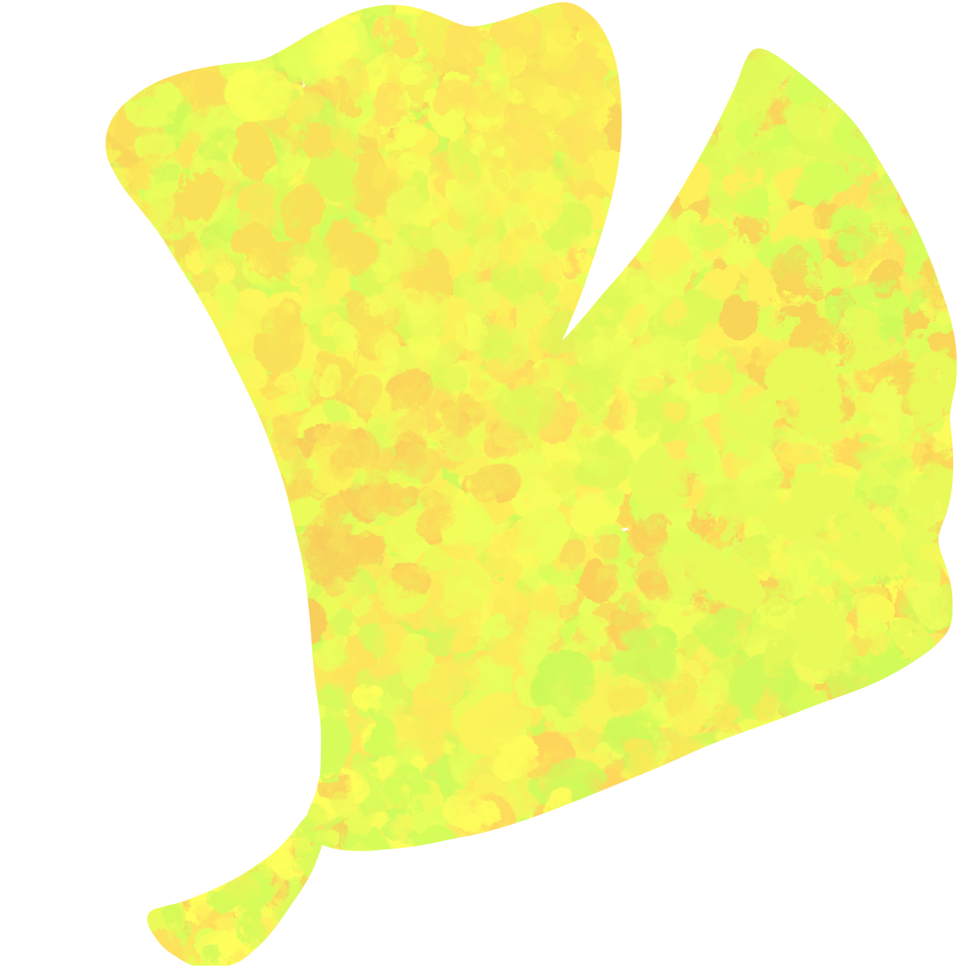 leaf-in-autumn-34618666-png