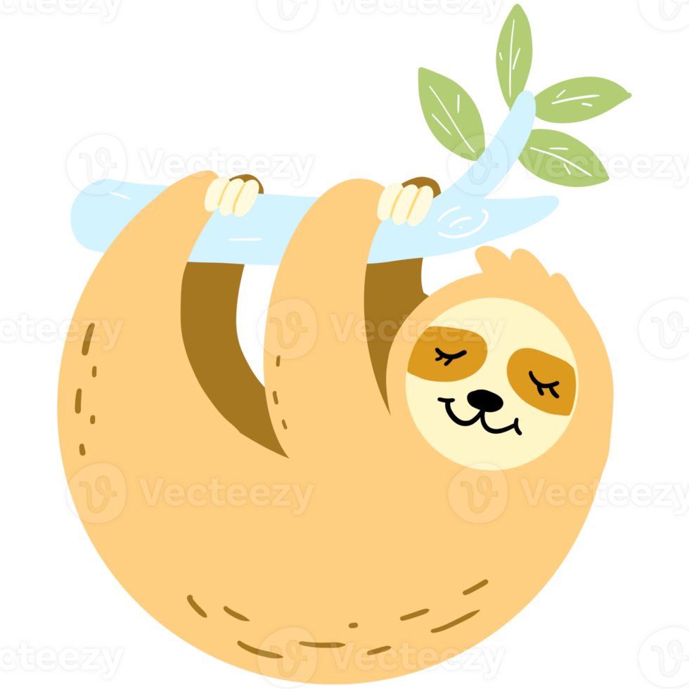 A sloth on the tree png