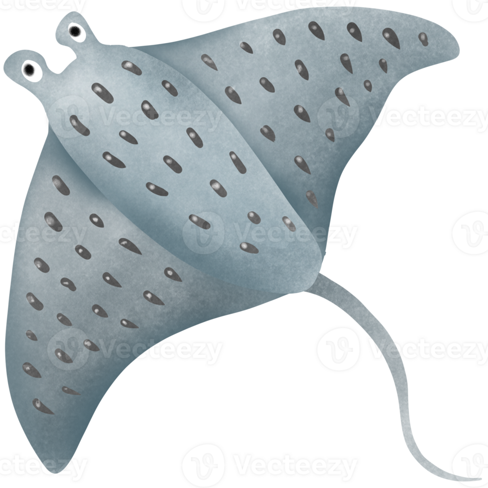 Stingray under the ray png