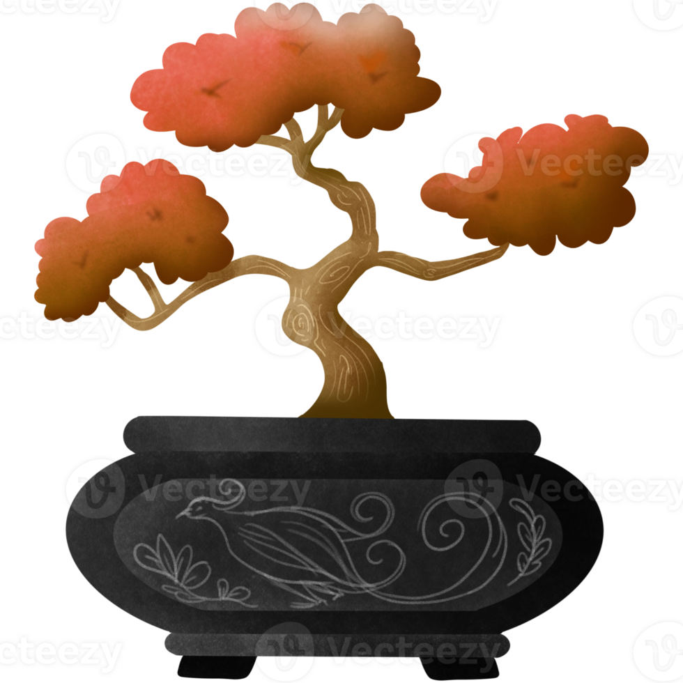 Japanese bonsai tree png