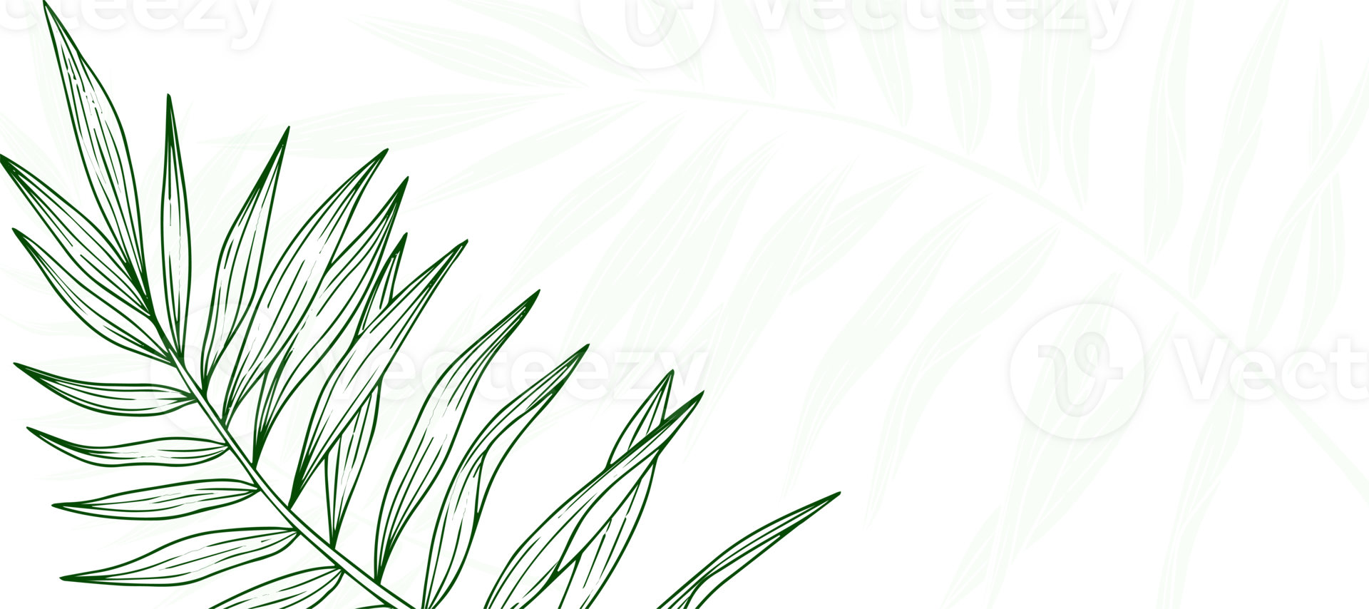 Green Palm Leaf Outline Abstract background Wallpaper png