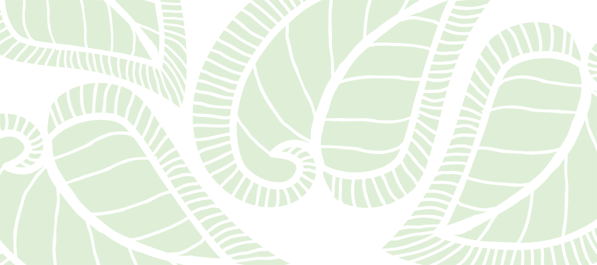 Abstract Green Leaf Stroke Abstract background Wallpaper 34619302 PNG