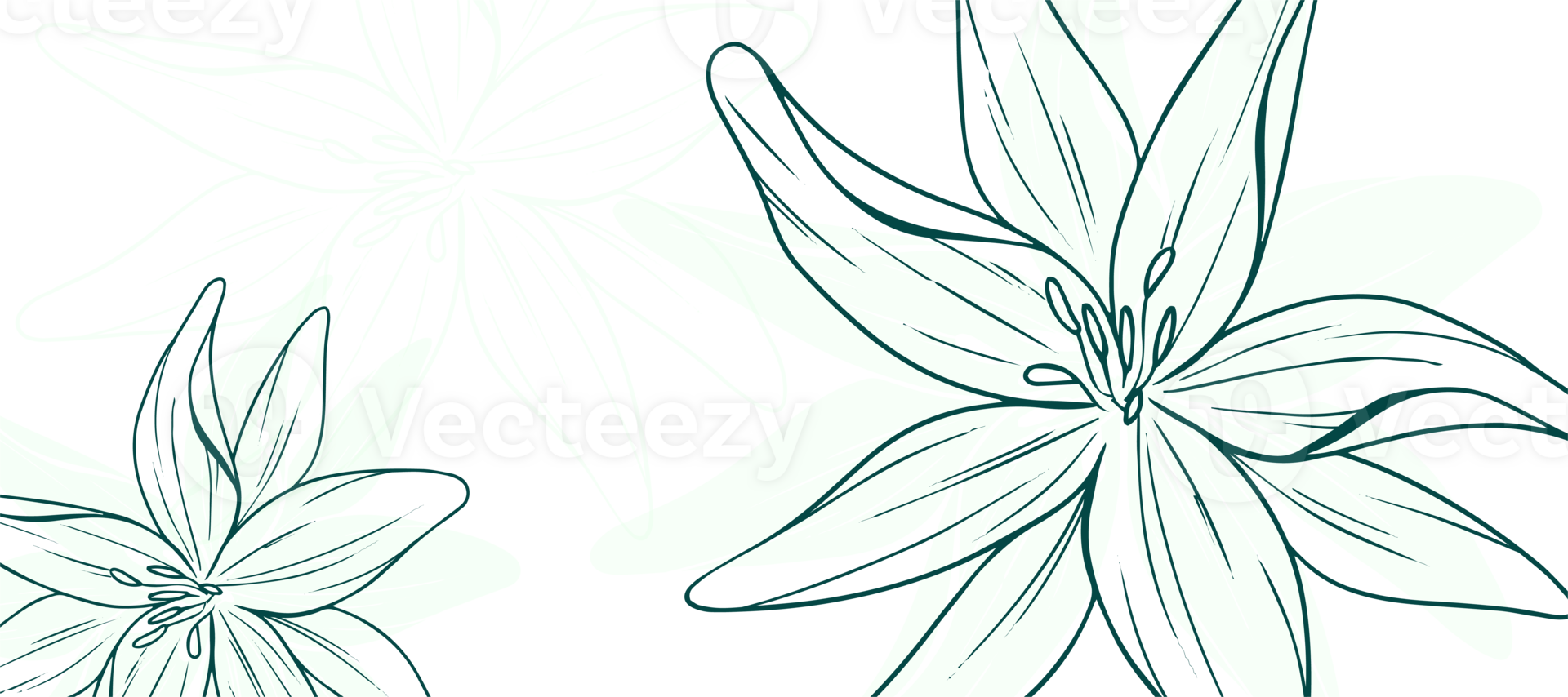 green-flower-outline-abstract-background-wallpaper-34619323-png