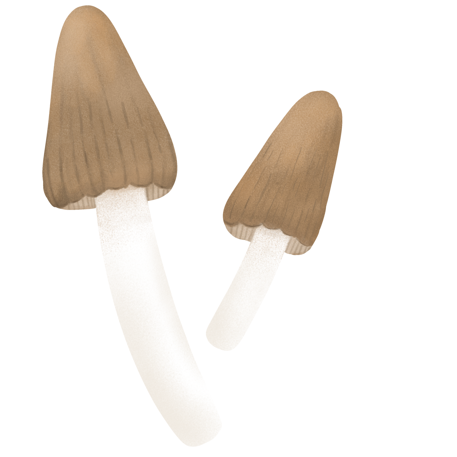 cute mushroom illustration. 34619632 PNG